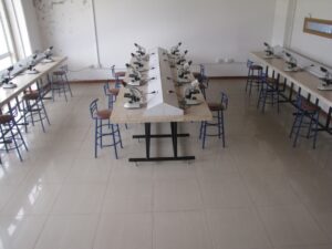 جامعة الوادي